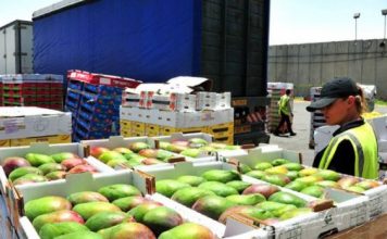 Eksporti i fruta-perimeve u rrit me 16.4% në qershor, ja produktet më të preferuara shqiptare jashtë kufijve