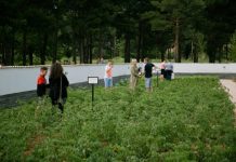 Korçarët nuk zhgenjëjnë kurrë/ Nisma fantastike, 15 familje krijojnë kopshtet komunitare