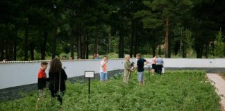 Korçarët nuk zhgenjëjnë kurrë/ Nisma fantastike, 15 familje krijojnë kopshtet komunitare