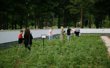 Korçarët nuk zhgenjëjnë kurrë/ Nisma fantastike, 15 familje krijojnë kopshtet komunitare