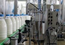 A e dini sa mijë tonë qumësht prodhohet në Shqipëri?