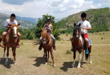 FOTO/ Udhëtimet me kuaj, eksperienca magjike në parkun kombëtar Bredhi i Hotovës në Përmet