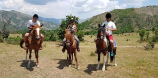 FOTO/ Udhëtimet me kuaj, eksperienca magjike në parkun kombëtar Bredhi i Hotovës në Përmet