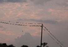 FOTOT/ Fjetorja e skifterit kthetraverdhë në luginën e Drinos, më e madhja në Europë
