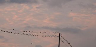 FOTOT/ Fjetorja e skifterit kthetraverdhë në luginën e Drinos, më e madhja në Europë