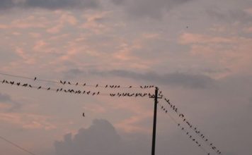 FOTOT/ Fjetorja e skifterit kthetraverdhë në luginën e Drinos, më e madhja në Europë