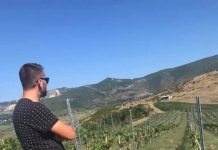 Frymëzuese/ I riu nga Prrenjasi krijon 13 hektarë vreshta, investon në vendlindje