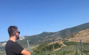 Frymëzuese/ I riu nga Prrenjasi krijon 13 hektarë vreshta, investon në vendlindje