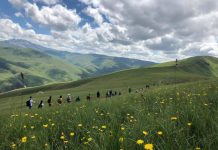 Shtegu i ngjyrave në Korab-Koritnik, ‘parajsa’ që ka tërhequr mijëra turistë (FOTO)
