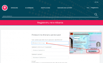 Pa radhë, pa kosto/ e-Albania lehtëson mënyrën e aplikimit për qytetarët