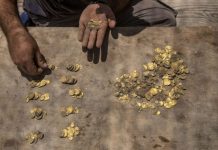 Zbulohen monedhat e arta 1 100-vjeçare në Izrael