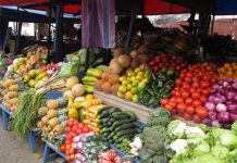 Lushnje-Fier, ‘kryeqyteti’ i eksporteve bujqësore “made in Albania”. Ja shifrat pozitive