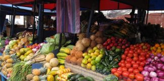 Lushnje-Fier, ‘kryeqyteti’ i eksporteve bujqësore “made in Albania”. Ja shifrat pozitive