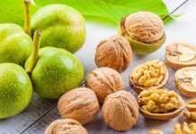 Arrat e njoma shqiptare/ Ushqimi i mrekullueshëm i jetëgjatësisë