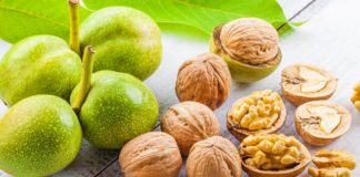 Arrat e njoma shqiptare/ Ushqimi i mrekullueshëm i jetëgjatësisë