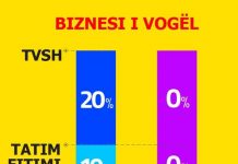 Zero tatim fitimi dhe zero tvsh, si u lehtësuan 110 mijë sipërmarrje të vogla nga barra e taksave