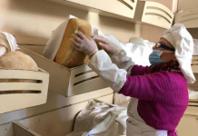 Deri në fund të 2019, 83 mijë të punësuar më shumë në biznesin e vogël