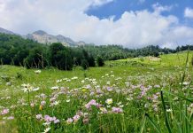 Sipërfaqja e zonave të mbrojtura është rritur me rreth 10% në fund të vitit të kaluar