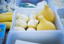 FOTOT/ Mozzarella e Nafizit në Shkallnur, e para fabrikë që ka prodhuar djathin mozzarella në Shqipëri