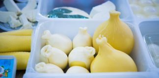 FOTOT/ Mozzarella e Nafizit në Shkallnur, e para fabrikë që ka prodhuar djathin mozzarella në Shqipëri