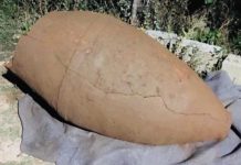 FOTOT/ Zbulim i rëndësishëm arkeologjik në Maliq