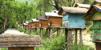 Bletaria, 183 milionë lekë në dispozicion të fermerëve