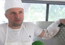 Historia e Dritanit, që la Danimarkën dhe hapi baxho qumështi në Bulqizë