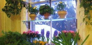 Këshilla/ Si të pastroni ajrin në shtëpinë tuaj