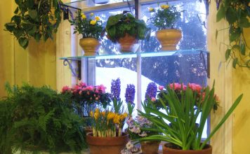 Këshilla/ Si të pastroni ajrin në shtëpinë tuaj