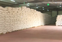 Bashkëpunimi me 3500 fermerë, fabrika në Berat eksporton 2200 tonë fruta në ditë drejt tregjeve të BE-së dhe SHBA-së