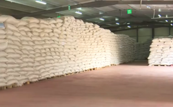 Bashkëpunimi me 3500 fermerë, fabrika në Berat eksporton 2200 tonë fruta në ditë drejt tregjeve të BE-së dhe SHBA-së