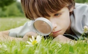 Njihuni me 13 nga kuriozitetet më të mëdha të botës