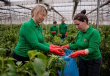 SHIFRAT/ Shtetet ku eksportohen produktet “Made in Albania”