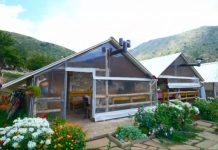 FOTO/ Fermeri nga Zagoria, historia frymëzuese e Pëllumbit dhe përfshirja në skemën e subvencionit