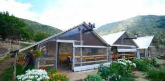 FOTO/ Fermeri nga Zagoria, historia frymëzuese e Pëllumbit dhe përfshirja në skemën e subvencionit