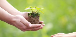 Studimi: Bujaria është çelësi për të jetuar më gjatë, ja dy vendet që japin më shumë