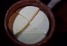 VIDEO/ Fermerët e bujqësisë Bio, Agimi tregon sesi mundi jep frytet e tij