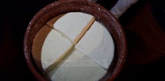 VIDEO/ Fermerët e bujqësisë Bio, Agimi tregon sesi mundi jep frytet e tij