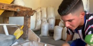 Frymëzim/ Mullixhiu 15-vjeçar vazhdon traditën e katër brezave, njihuni me Zefin