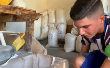 Frymëzim/ Mullixhiu 15-vjeçar vazhdon traditën e katër brezave, njihuni me Zefin