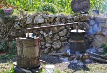 VIDEO/ Gratë e boboshticës, mjeshtre të përgatitjes së rakisë