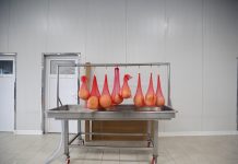 FOTOT/ Sakipi dhe Shemsiu, babë e bir, mjeshtrat e djathit dhe sipërmarrësit model