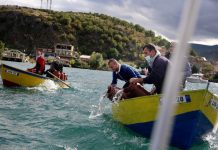 FOTO/ Sasi rekord këtë vit, mbi 1.7 milionë rasate korani hidhen në liqenin e Ohrit