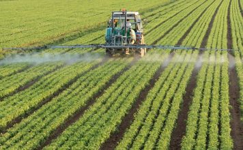 Rekord eksportesh/ A e dini se cili është produkti shqiptar më i kërkuar në botë