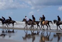 FOTOT/ Bregdeti i Darëzezës shndërrohet në një “pistë” hipizmi