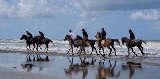 FOTOT/ Bregdeti i Darëzezës shndërrohet në një “pistë” hipizmi