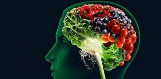 Ushqimet që duhet të konsumoni për të patur një kujtesë të fortë dhe afatgjatë
