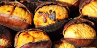 Vlerat e jashtëzakonshme të gështenjave të pjekura dhe aroma e tyre e parezistueshme