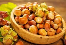 Stina e lajthive, 4 arsye të rëndësishme përse duhet t’i konsumoni rregullisht