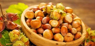 Stina e lajthive, 4 arsye të rëndësishme përse duhet t’i konsumoni rregullisht